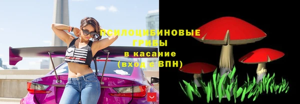 стафф Арсеньев